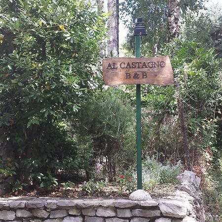 维克艾库塞阿尔卡斯塔尼奥住宿加早餐旅馆住宿加早餐旅馆 外观 照片